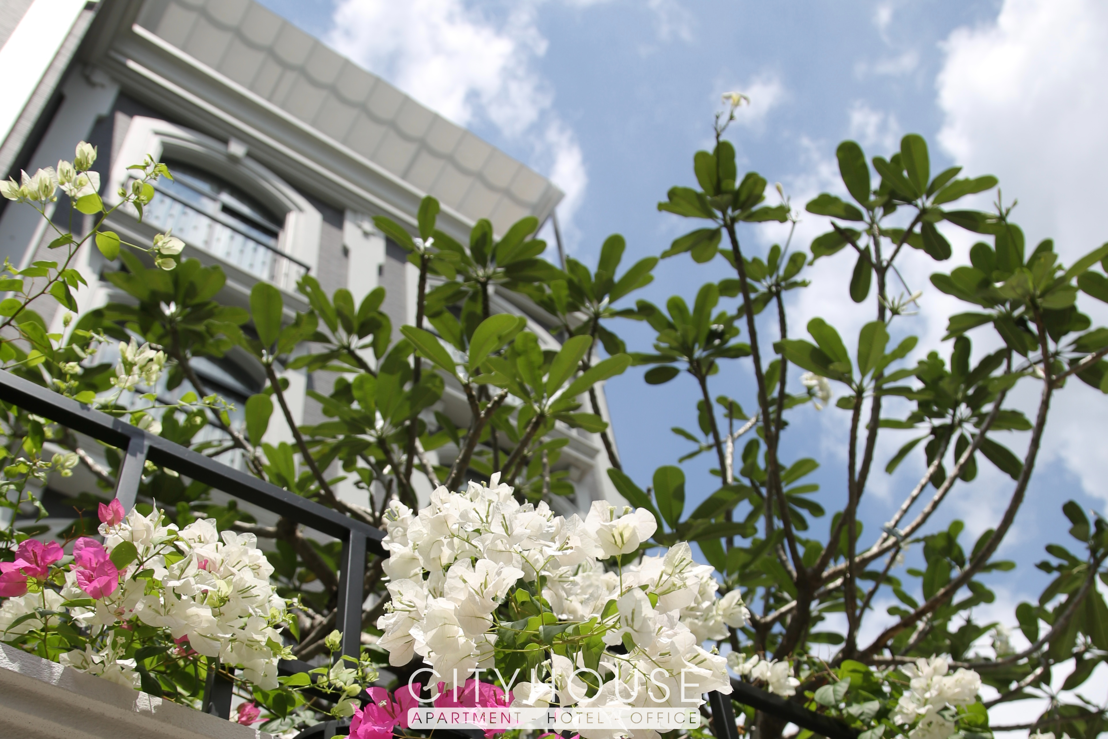 Thiết kế cửa vòm và ban công tại Tera The S