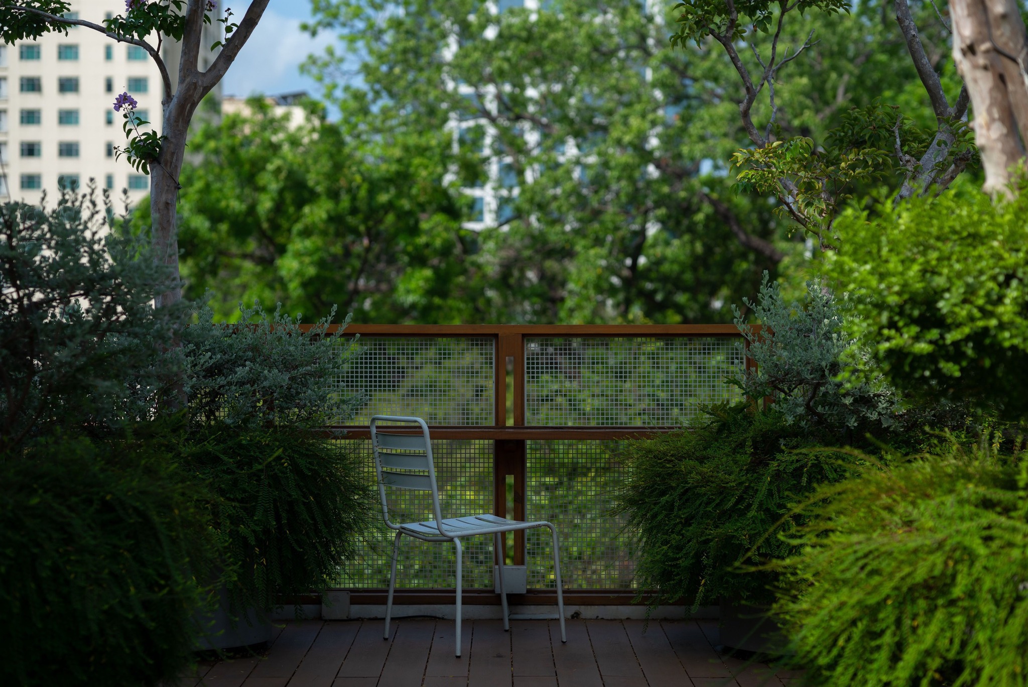 View căn hộ khách sạn CityHouse hướng trung tâm Thành phố Hồ Chí Minh