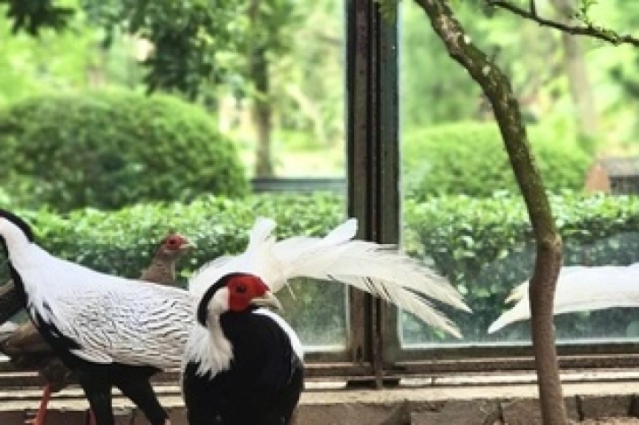 Những Địa Điểm Tham Quan Phù Hợp Cho Gia Đình Tại TP.HCM